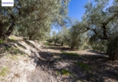 Terreno no urbanizable en venta en la España, Dúrcal, ref: TR286694 foto