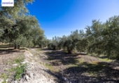 Terreno no urbanizable en venta en la España, Dúrcal, ref: TR286694 foto