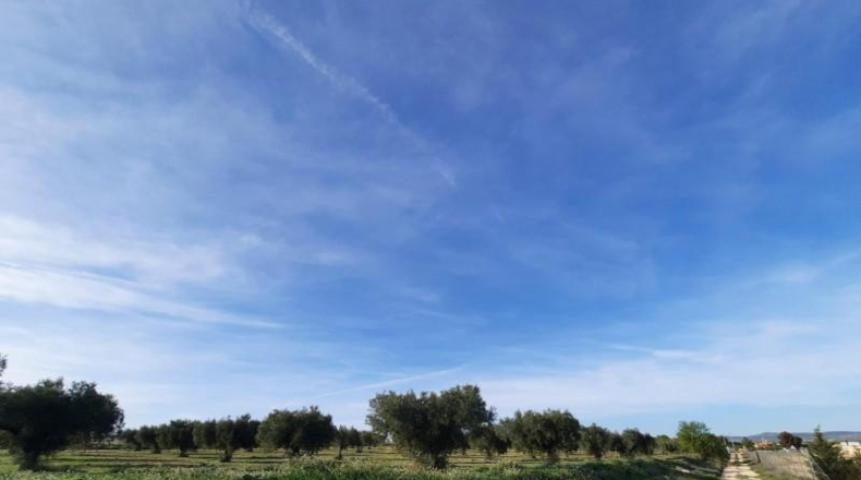 Albacete - Almansa - 17000m2