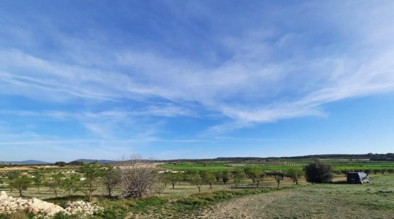 Albacete - Almansa - 17000m2