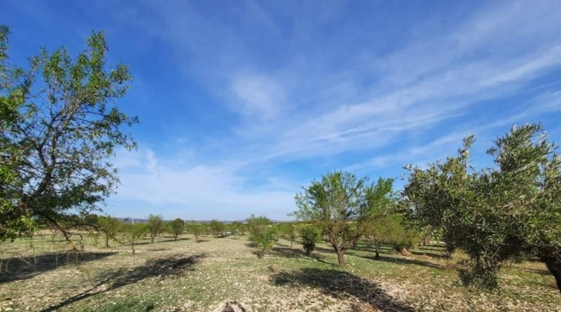 Albacete - Almansa - 17000m2