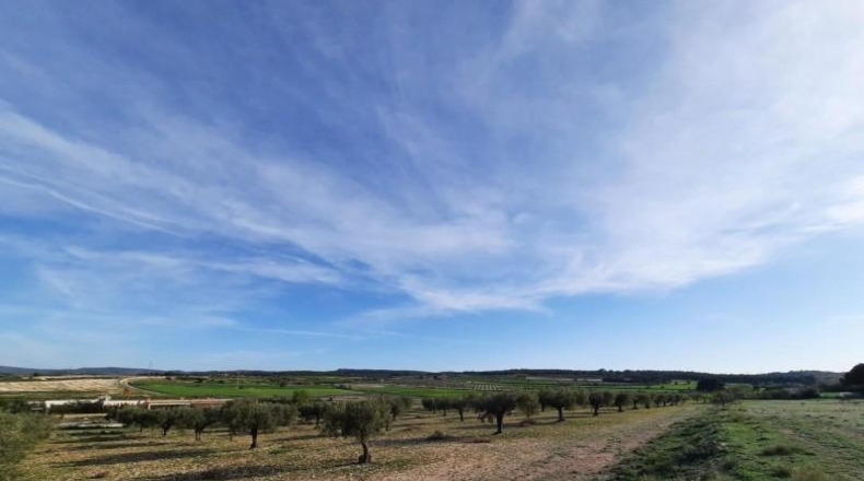 Albacete - Almansa - 17000m2