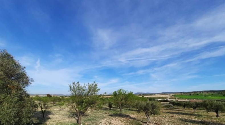 Albacete - Almansa - 17000m2