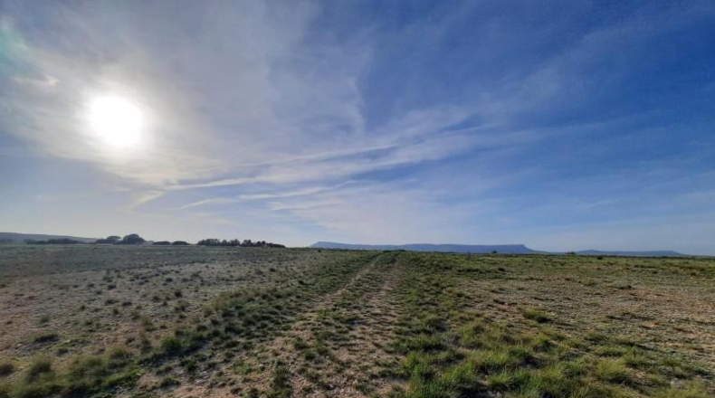 Albacete - Almansa - 17000m2