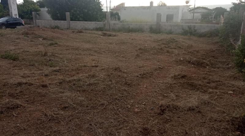 Tarragona - Alcanar - 429m2