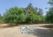 Parcela urbanizable en venta en la España, El Tiemblo, ref: TR227910 foto