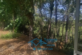 El Tiemblo 1169&nbsp;m² 