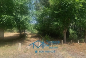El Tiemblo 1169&nbsp;m² 