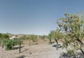 Terreny no urbanitzable en venda a la España, el Fondó dels Frares, ref.: TR323351 foto