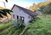 Casa de poble en venda a la España, Carballino, ref.: TR284389 foto