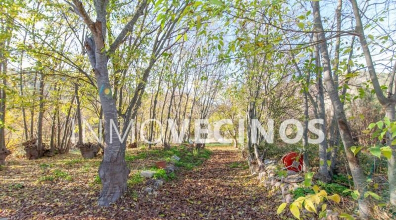 Valencia - Cofrentes - 18470m2