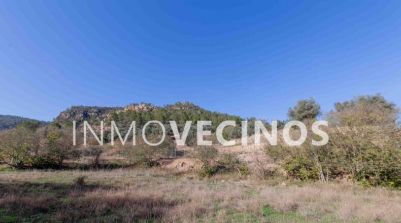 Valencia - Cofrentes - 18470m2