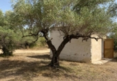 Chalet independiente con terreno en venta en la España, l'Ametlla de Mar, ref: TR292168 foto