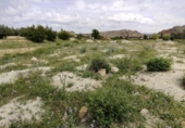 Non-developable land for sale on España, Calasparra, ref: TR282256 photo