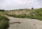 Non-developable land for sale on España, Calasparra, ref: TR282256 photo
