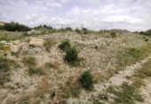 Non-developable land for sale on España, Calasparra, ref: TR282256 photo