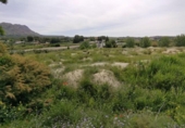 Non-developable land for sale on España, Calasparra, ref: TR282256 photo