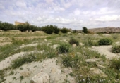 Non-developable land for sale on España, Calasparra, ref: TR282256 photo