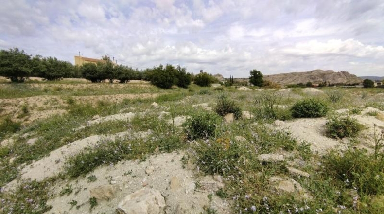 Murcia - Calasparra - 6000m2