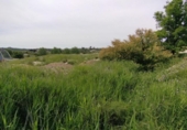 Non-developable land for sale on España, Calasparra, ref: TR282256 photo