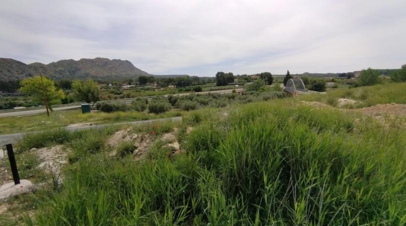 Murcia - Calasparra - 6000m2