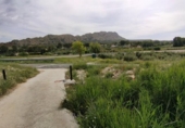 Non-developable land for sale on España, Calasparra, ref: TR282256 photo