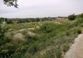 Non-developable land for sale on España, Calasparra, ref: TR282256 photo