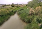Non-developable land for sale on España, Calasparra, ref: TR282256 photo