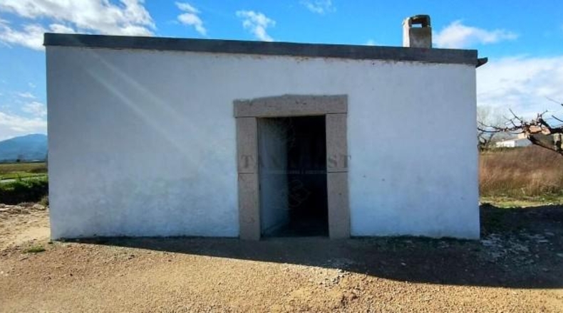 Tarragona - Amposta - 9859m2