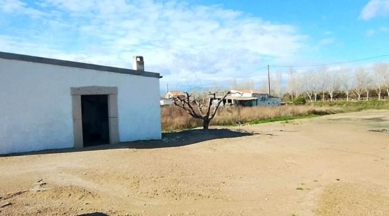 Tarragona - Amposta - 9859m2