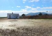 Terreny no urbanitzable en venda a la España, Amposta, ref.: TR390665 foto
