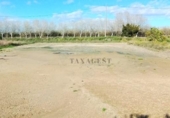 Terreny no urbanitzable en venda a la España, Amposta, ref.: TR390665 foto