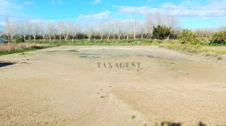 Tarragona - Amposta - 9859m2