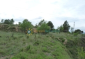 Non-developable land for sale on España, Castelló de Rugat, ref: TR315760 photo
