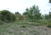 Non-developable land for sale on España, Castelló de Rugat, ref: TR315760 photo