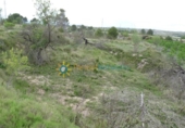 Non-developable land for sale on España, Castelló de Rugat, ref: TR315760 photo