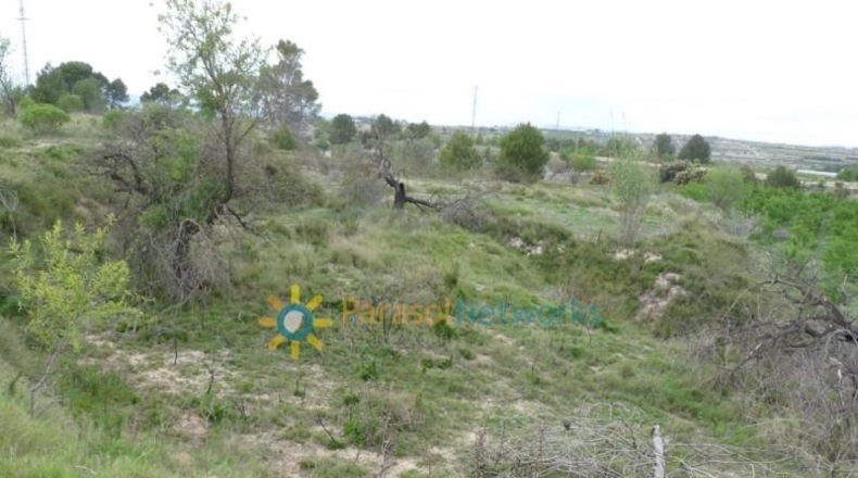 Валенсия - Castellón de Rugat - 15000m2
