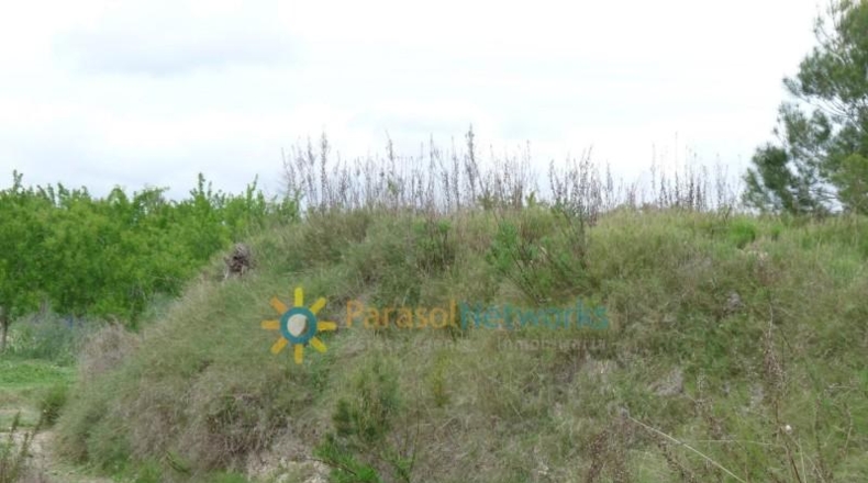 Валенсия - Castellón de Rugat - 15000m2