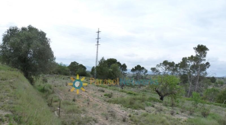 Валенсия - Castellón de Rugat - 15000m2