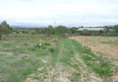 Non-developable land for sale on España, Castelló de Rugat, ref: TR315760 photo