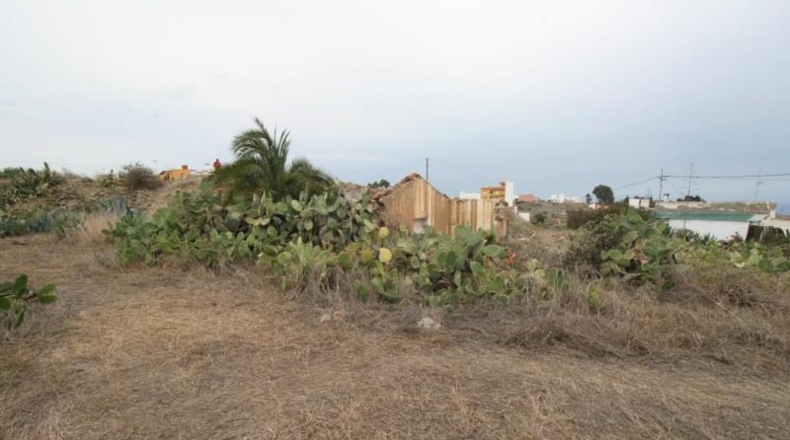 Las Palmas - Moya - 1235m2