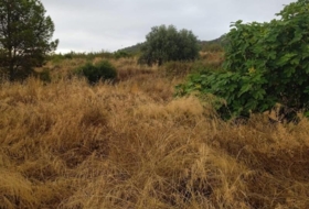 Lorca 11800&nbsp;m²