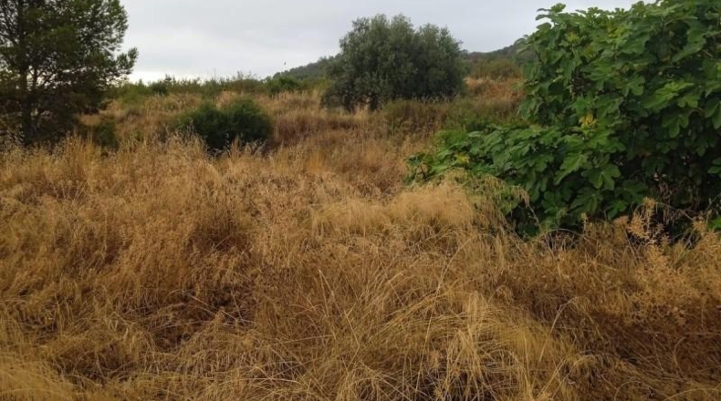 Мурсия - Lorca - 11800m2