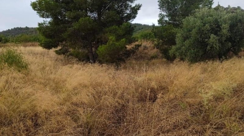 Мурсия - Lorca - 11800m2