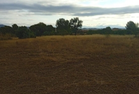 Lorca 11800&nbsp;m²
