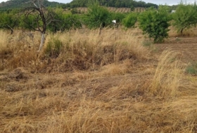 Lorca 11800&nbsp;m²