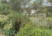 Non-developable land for sale on España, Olivella, ref: TR113767 photo