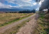 Terreno no urbanizable en venta en la España, Laujar de Andarax, ref: TR120806 foto