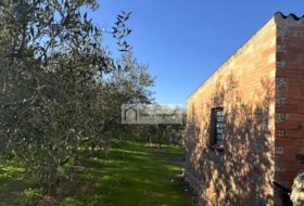 Móra d'Ebre 2643&nbsp;m² 