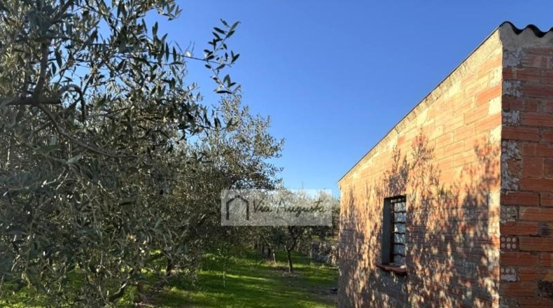 Tarragona - Móra d'Ebre - 2643m2